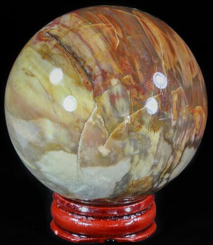 Colorful Petrified Wood Sphere #49765